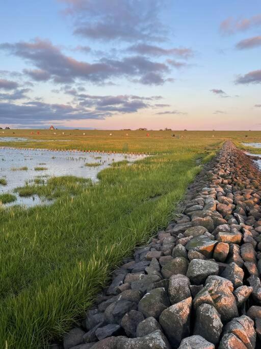 Nordseetraum - Ferienhaus Wolke فريادريتشسكوغ المظهر الخارجي الصورة